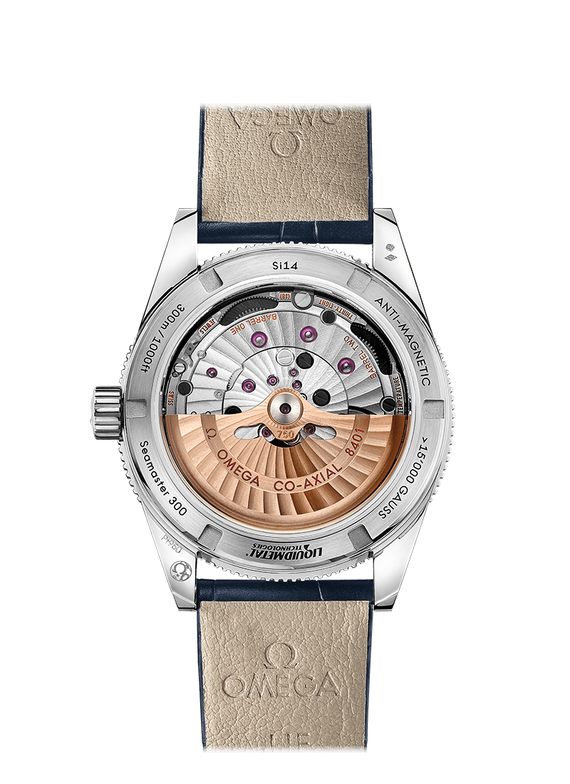 OMEGA SEAMASTER 300 MASTER COAXIAL CHRONOMETER 41 MM 233.93.41.21.03.001