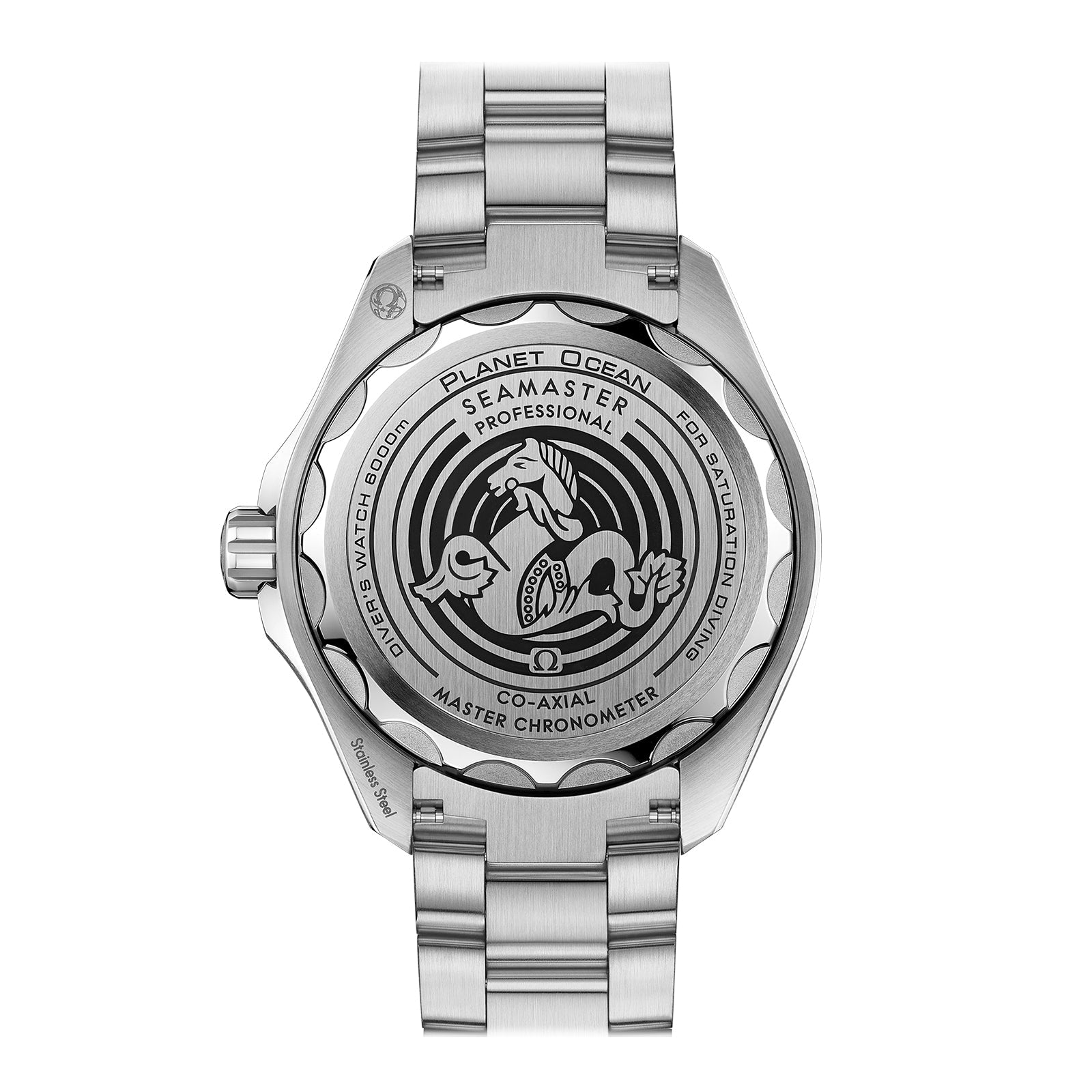 Omega Seamaster Planet Ocean 6000m Co-axial Master Chronometer 45.5mm