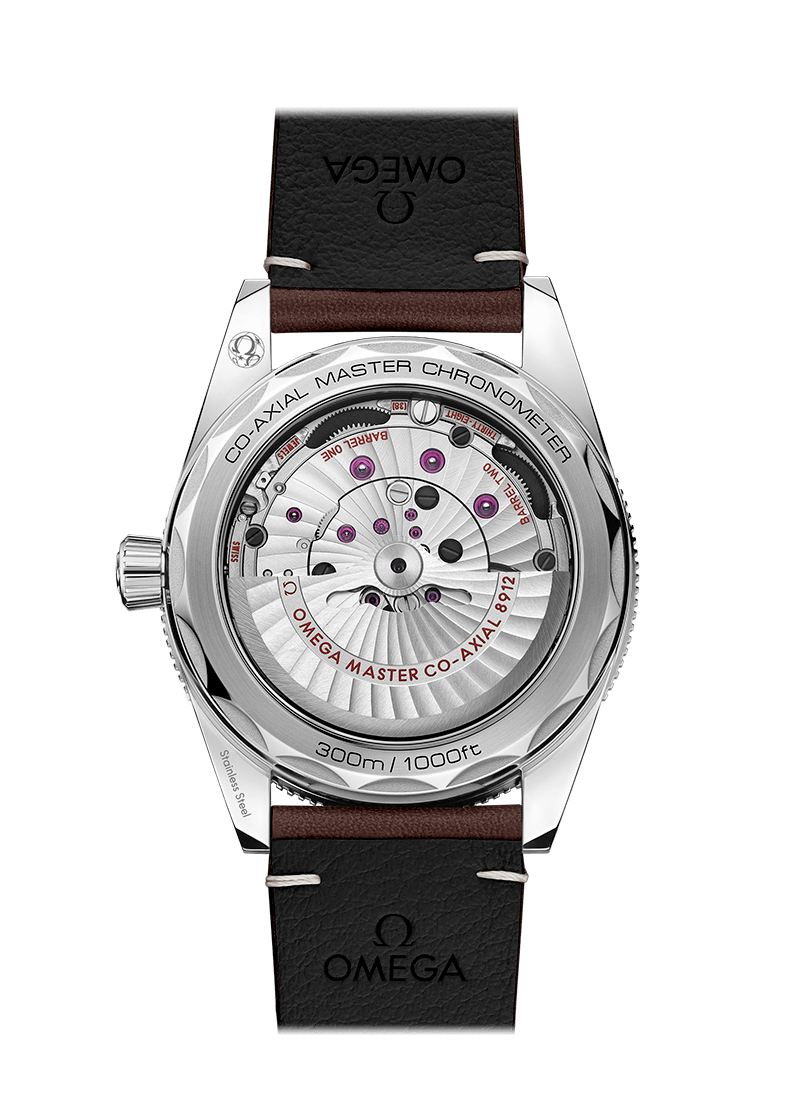 OMEGA SEAMASTER 300 COAXIAL MASTER CHRONOMETER 41 MM 234.32.41.21.01.001