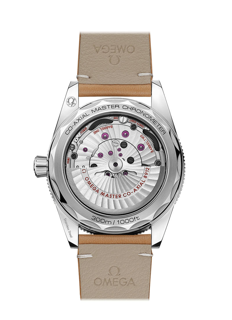 OMEGA SEAMASTER 300 COAXIAL MASTER CHRONOMETER 41 MM 234.32.41.21.03.001